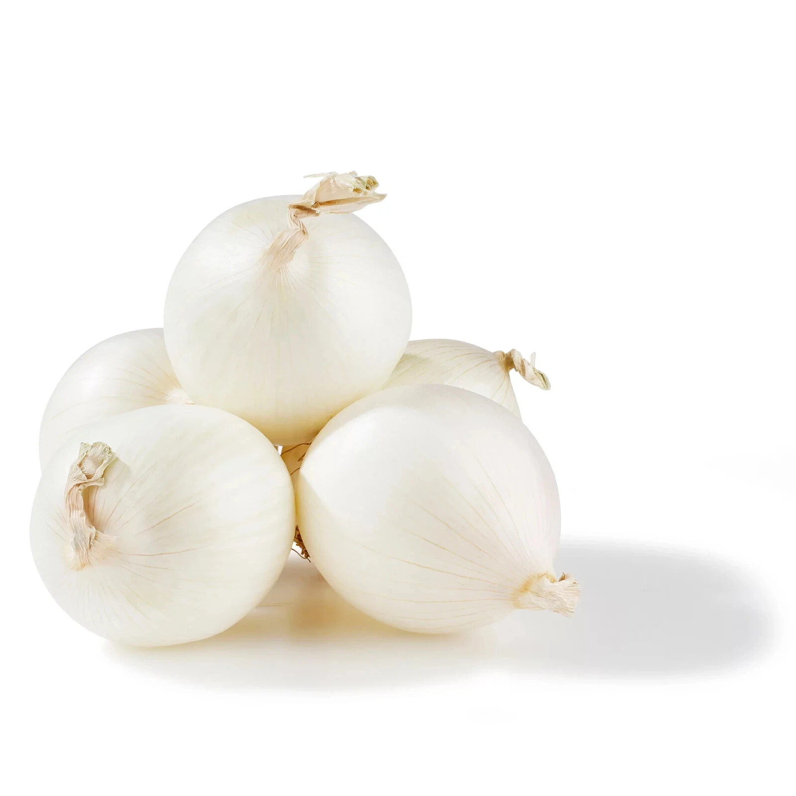CEBOLLA BLANCA